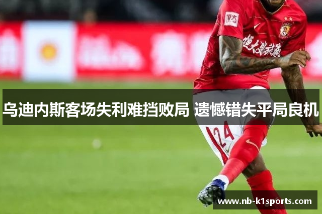 乌迪内斯客场失利难挡败局 遗憾错失平局良机