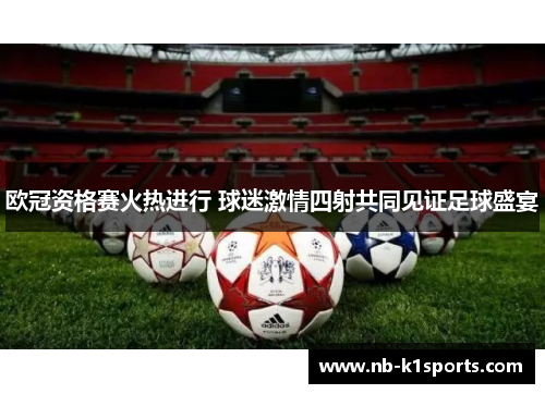 欧冠资格赛火热进行 球迷激情四射共同见证足球盛宴