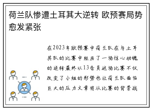 荷兰队惨遭土耳其大逆转 欧预赛局势愈发紧张