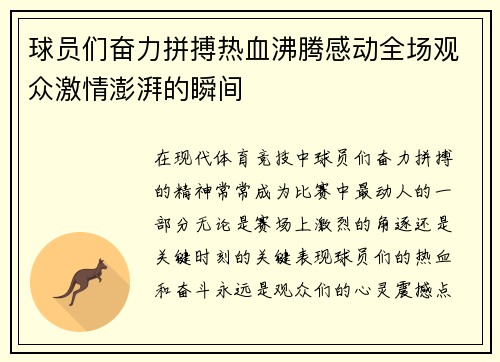 球员们奋力拼搏热血沸腾感动全场观众激情澎湃的瞬间