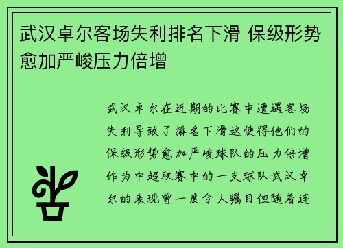 武汉卓尔客场失利排名下滑 保级形势愈加严峻压力倍增