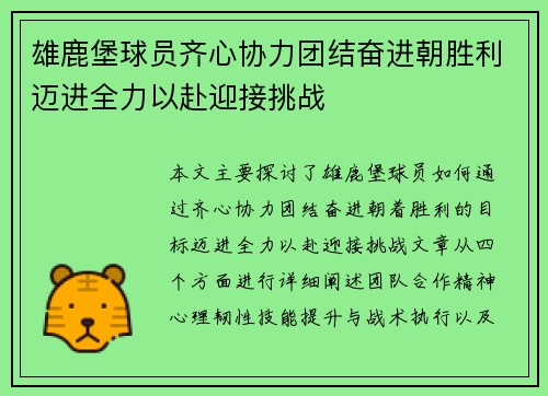 雄鹿堡球员齐心协力团结奋进朝胜利迈进全力以赴迎接挑战
